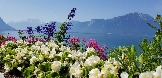 Авторский рекламный тур - 7 красивых мест в Швейцарии_033.jpg